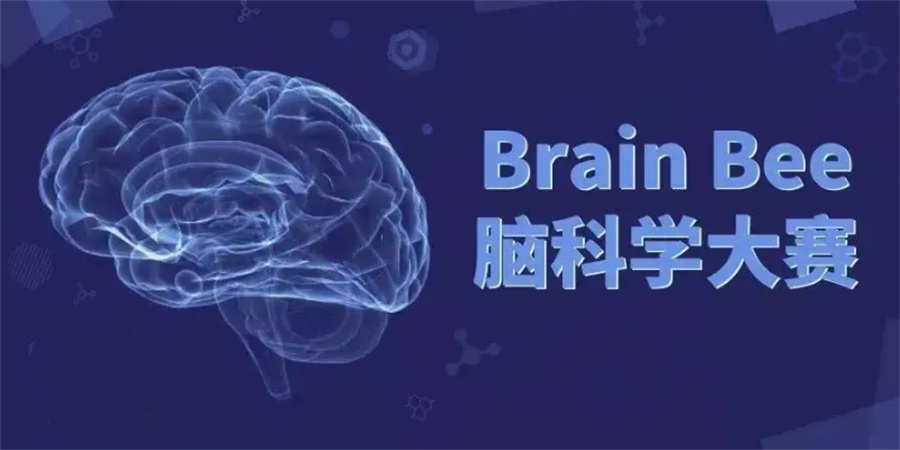 BrainBee脑科学活动竞赛辅导机构top3一览表-国际生物竞赛