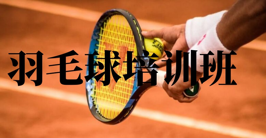 天津口碑排名前十大羽毛球培训学校榜单一览.jpg