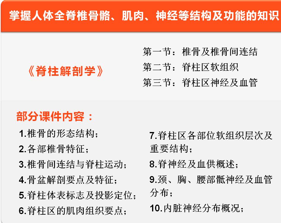 整脊正骨培训班 整脊正骨培训班