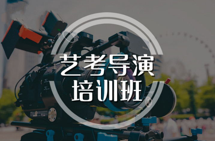 南京排名top10的导演艺考培训机构名单榜汇总 南京排名top10的导演艺考培训机构名单榜汇总