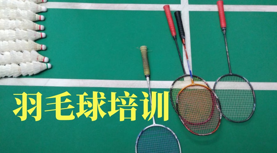 倾情推荐天津青少年羽毛球培训机构排名前十名单.jpg