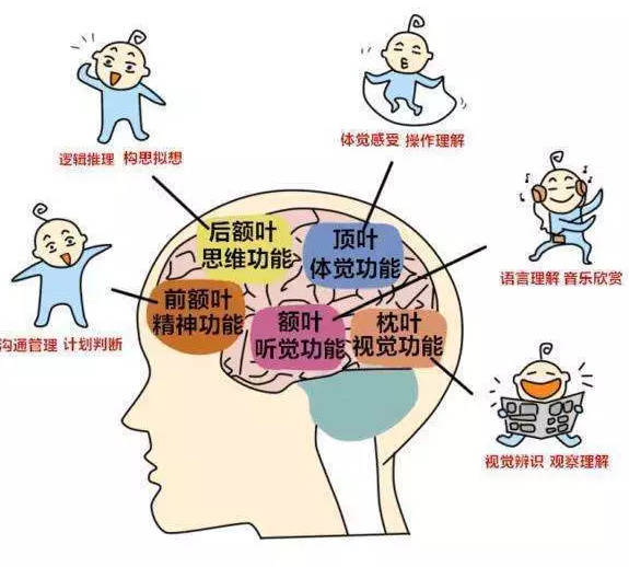 乌鲁木齐感统失调训练机构排名前五名单 乌鲁木齐感统失调训练机构排名前五名单
