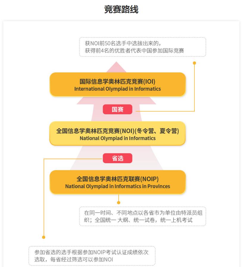 热度高的信息学奥赛辅导机构