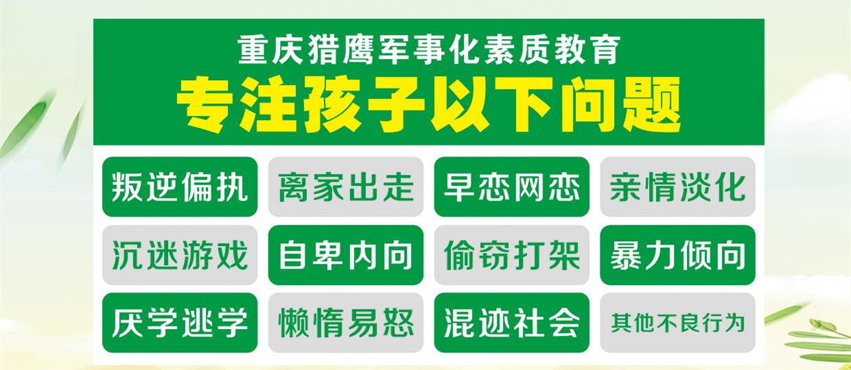 正规叛逆孩子学校 正规叛逆孩子学校