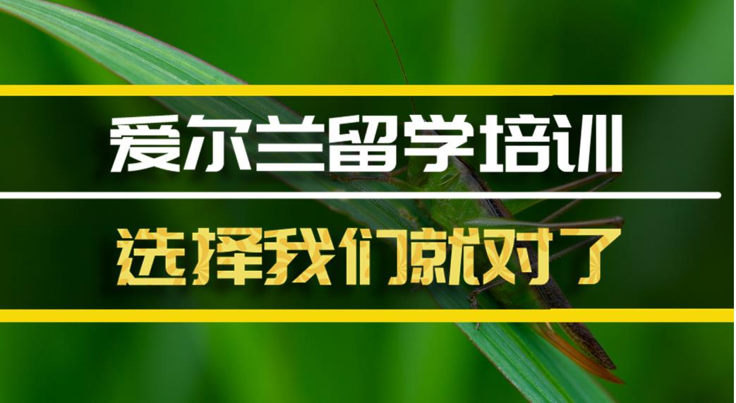 沈阳十大靠谱的赴爱尔兰留学机构排名名单 沈阳十大靠谱的赴爱尔兰留学机构排名名单