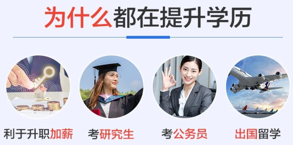 昆明专插本考试教育机构top5名单更新