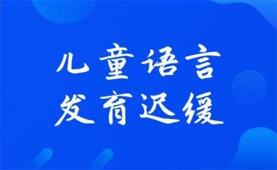 厦门5大正规儿童语言发育迟缓康复训练机构排名表 厦门5大正规儿童语言发育迟缓康复训练机构排名表