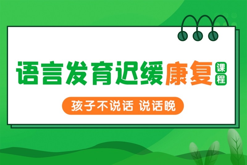 辽宁大连儿童语言发育迟缓问题康复训练机构十大排名解读.jpg