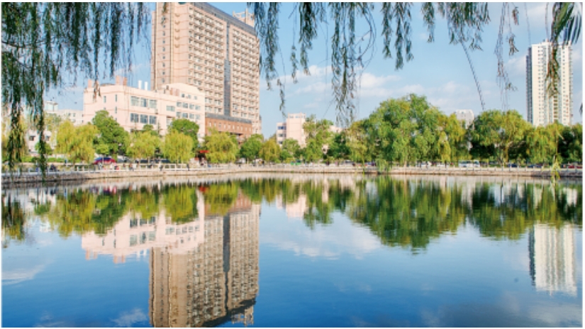 武汉理工大学2025国际本科4+0项目招生简章一览 武汉理工大学2025国际本科4+0项目招生简章一览