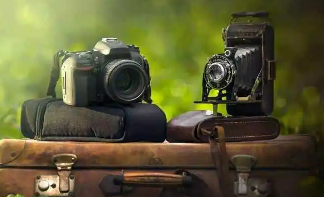 1700725071632036221.jpg 21.jpg