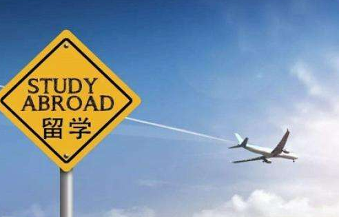 1701227421614067957.jpg 2.jpg