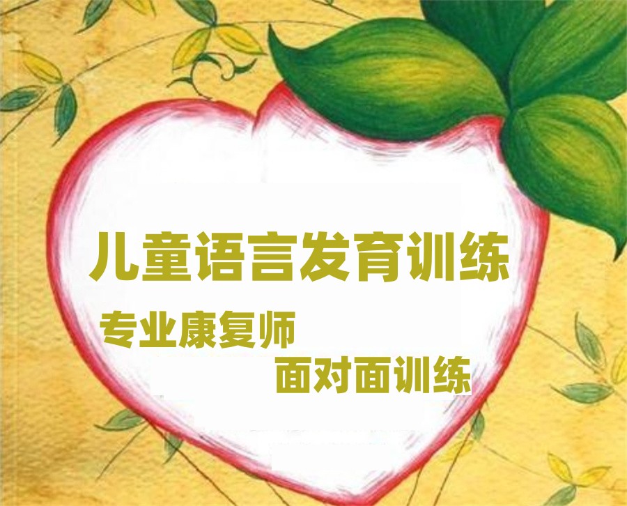 合肥十大正规儿童语言发育训练机构排名名单 合肥十大正规儿童语言发育训练机构排名名单