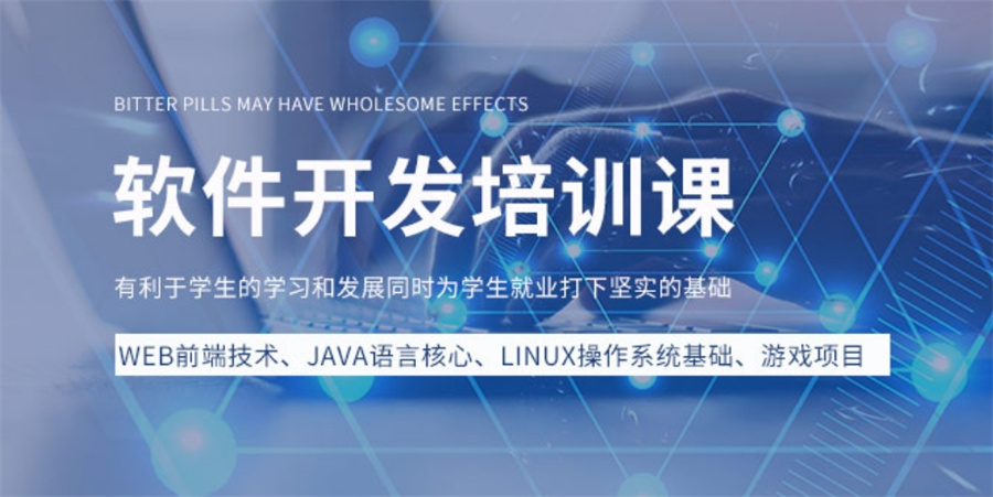 国内十大正规软件计算机编程培训学校实力排名表-专业IT培训 国内十大正规软件计算机编程培训学校实力排名表-专业IT培训