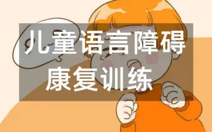 top10语言功能康复训练机构排名总结