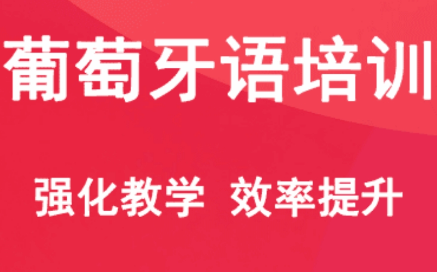 深圳葡萄牙语培训机构 深圳葡萄牙语培训机构