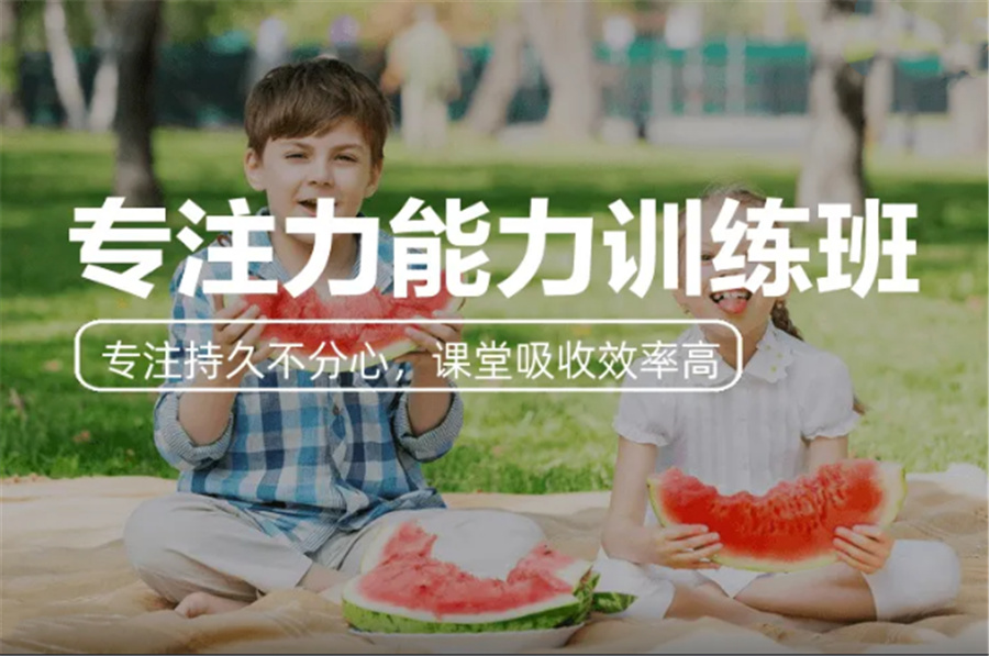 合肥排名好的少儿专注力注意力训练机构甄选名单 合肥排名好的少儿专注力注意力训练机构甄选名单