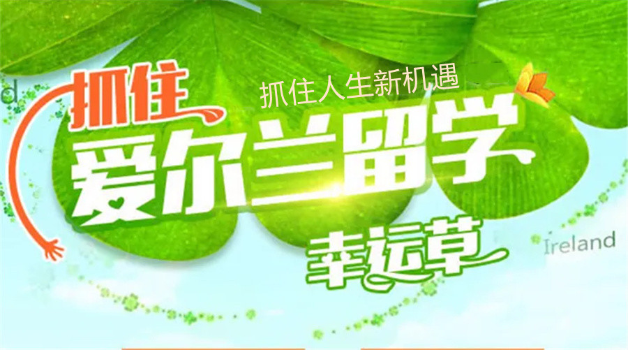 概述国内排名前十专业办理爱尔兰留学中介机构名单