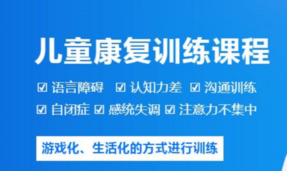 孤独症儿童干预训练机构 孤独症儿童干预训练机构