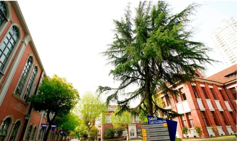 2024上海中外合作办学4+0国际本科热门项目汇总一览