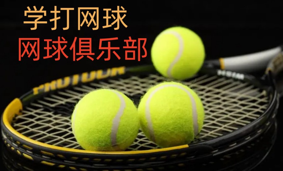 宣布2024北京地区学网球比较好的训练机构排名