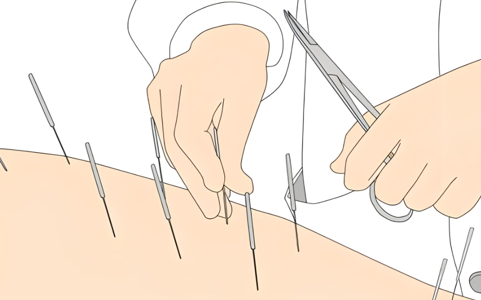 1711607850534095139.png 微信截图_20240325102355.png