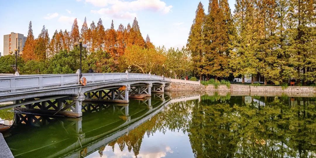 华东师范大学SQA3+1国际本科项目24年招生信息一览