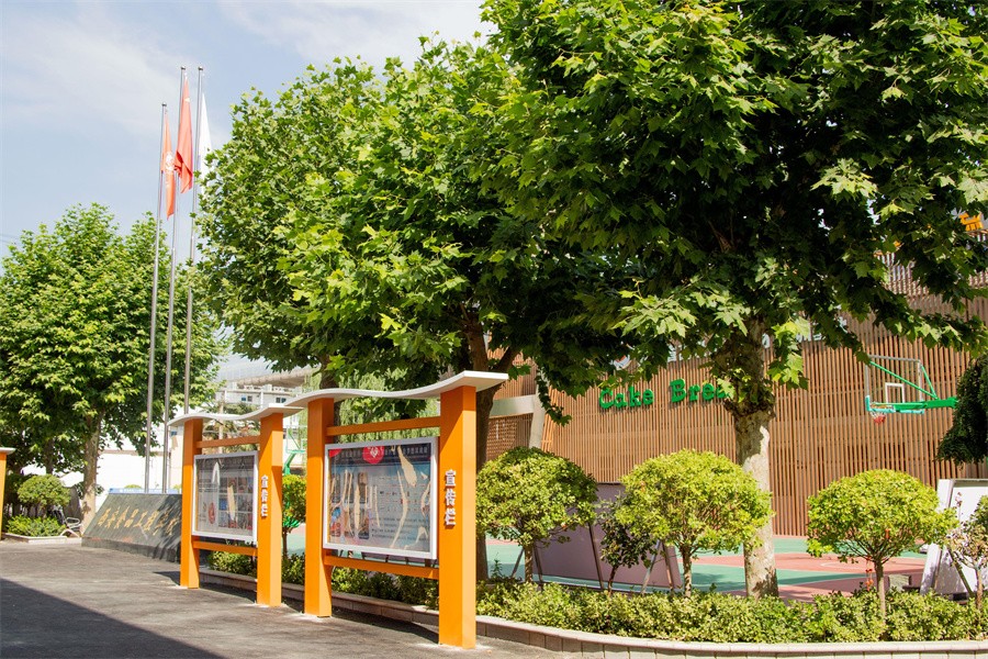 职业技术学校 职业技术学校