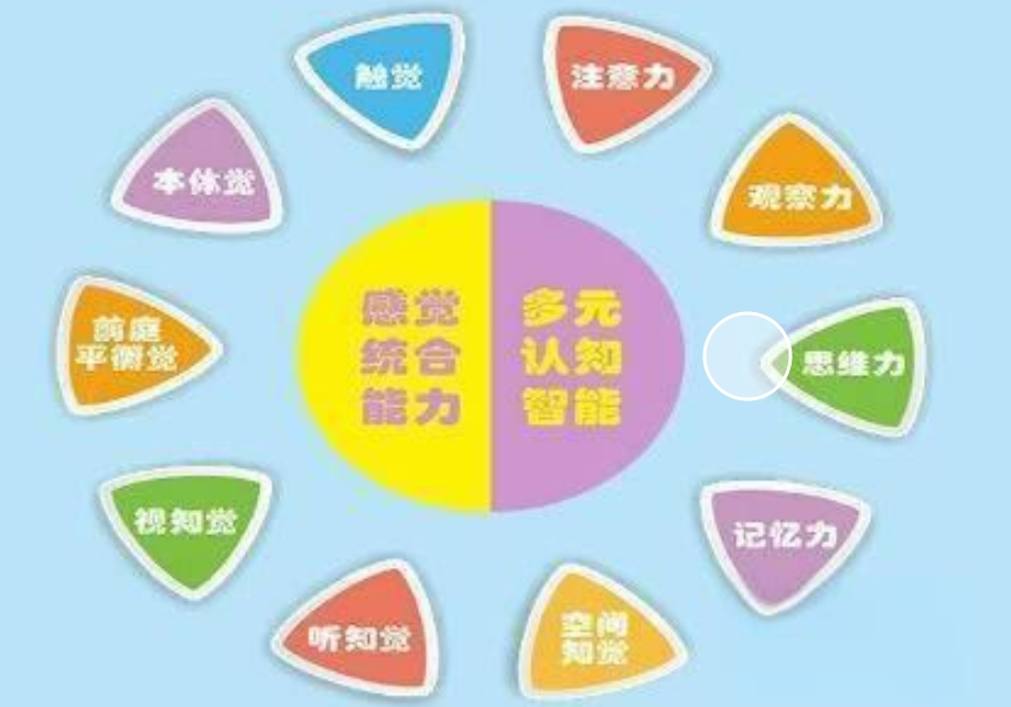 国内针对儿童感统失调问题进行康复训练