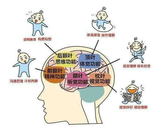 解析黑龙江地区儿童语言发育迟缓问题 解析黑龙江地区儿童语言发育迟缓问题