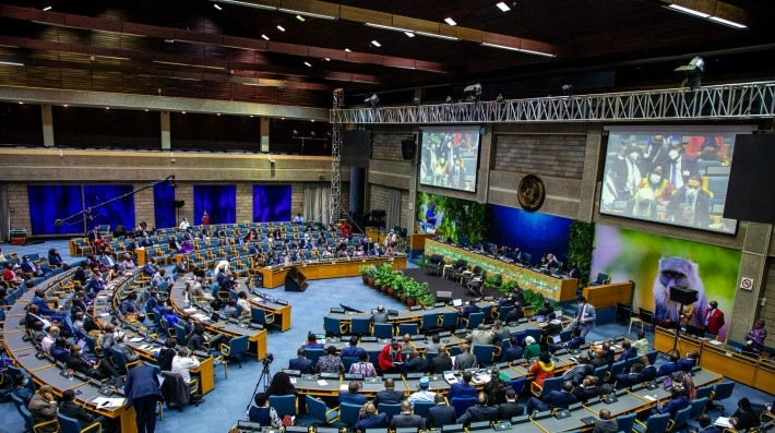 1715319774980012951.jpg 肯尼亚5.jpg