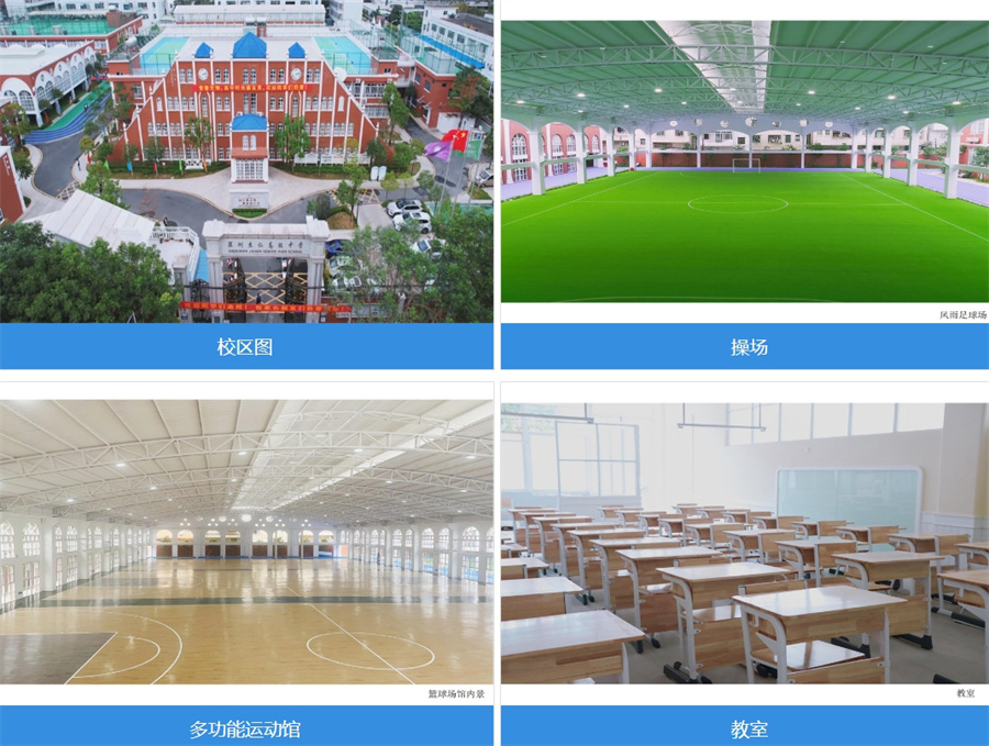 高三复读班(学校)