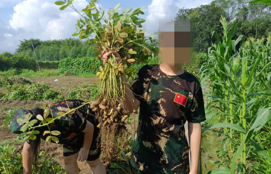 广西梧州夏令营集训机构