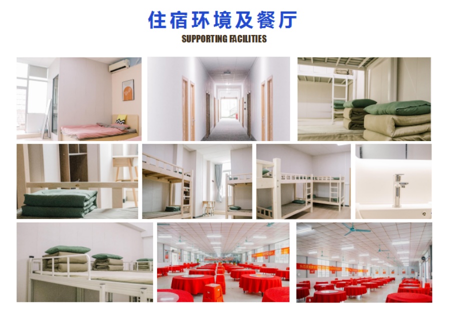 叛逆特训学校.jpg 叛逆特训学校.jpg