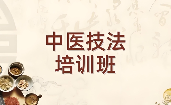 中医专项能力培训 中医专项能力培训