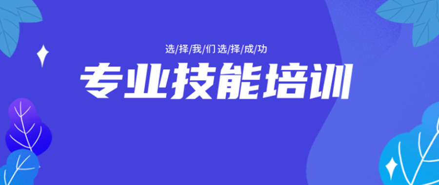 职业技能培训