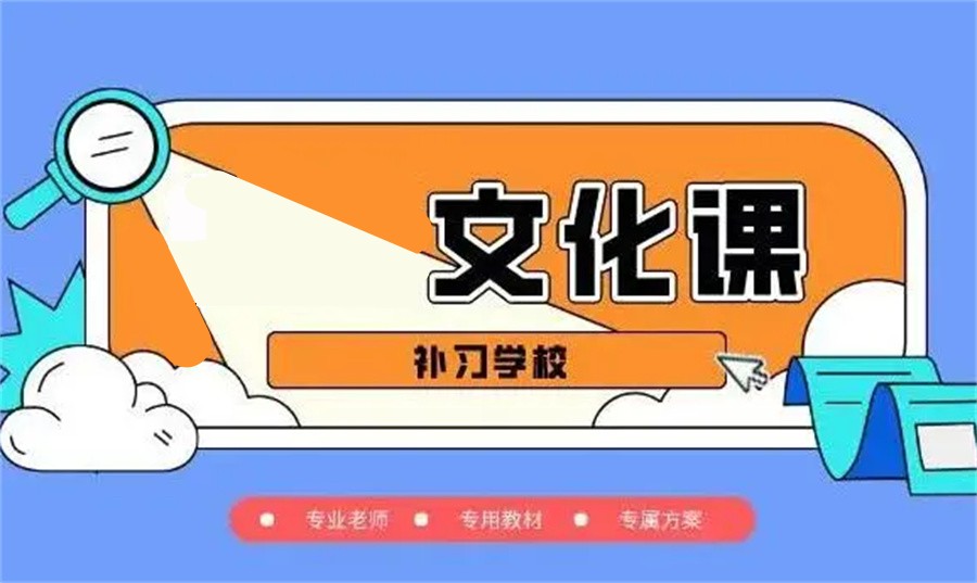 文化课集训辅导
