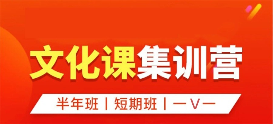 艺考文化课培训