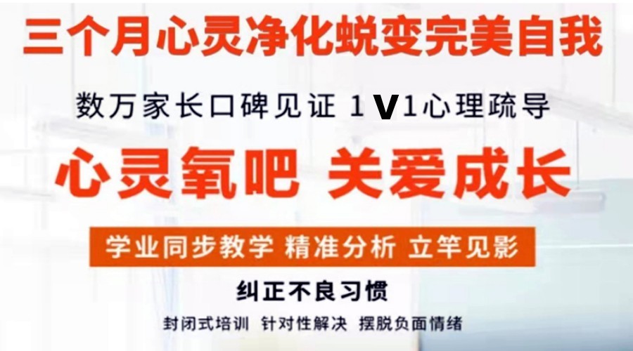 叛逆全封闭式纠正学校