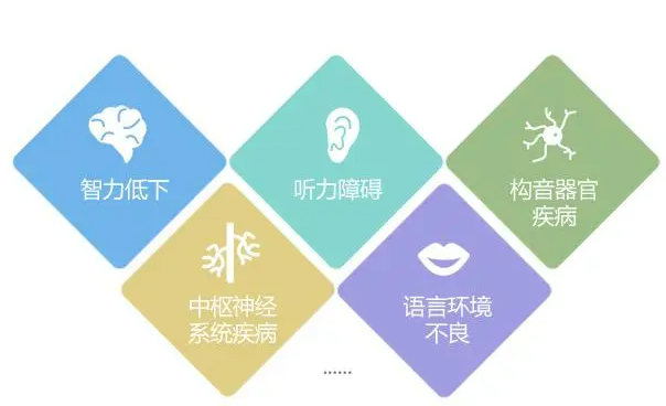 江苏淮安不错的语言发育迟缓问题康复训练机构 江苏淮安不错的语言发育迟缓问题康复训练机构