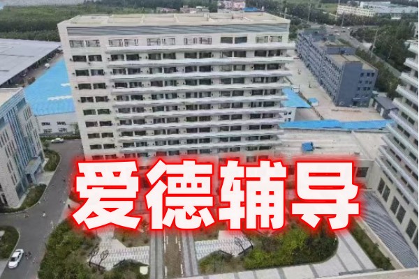 高考辅导 高考辅导