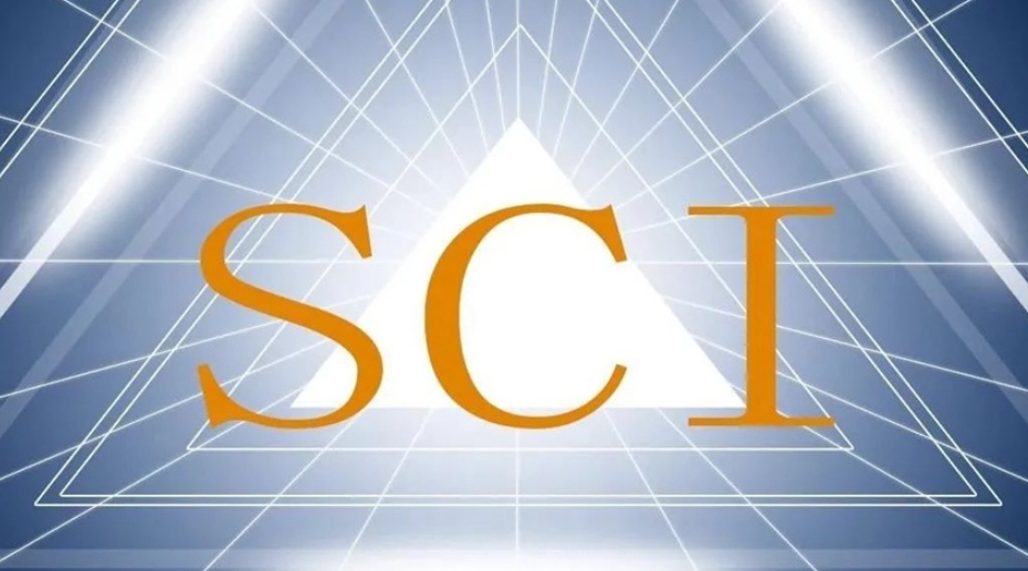 论文辅导 论文辅导