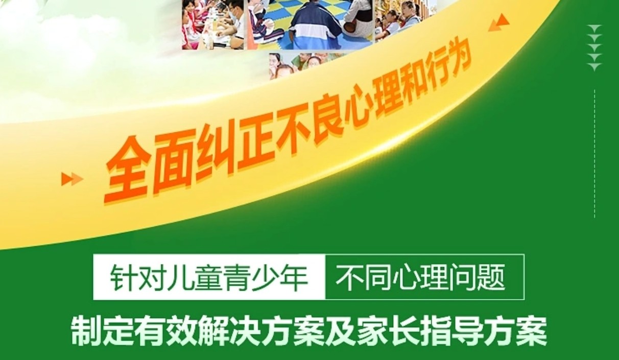 叛逆纠正,叛逆矫正