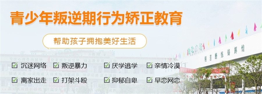 青春期孩子叛逆网瘾特训