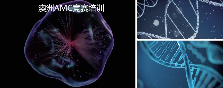 宣布正规澳大利亚数学竞赛培训机构排名及收费标准整理 宣布正规澳大利亚数学竞赛培训机构排名及收费标准整理