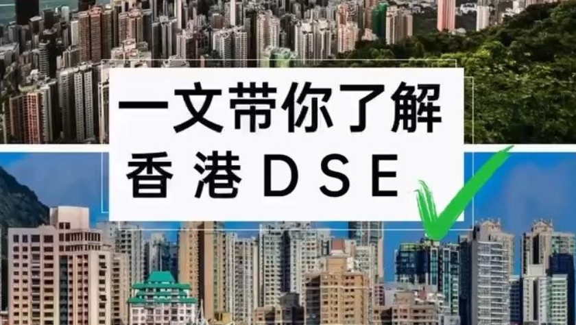 香港DSE培训
