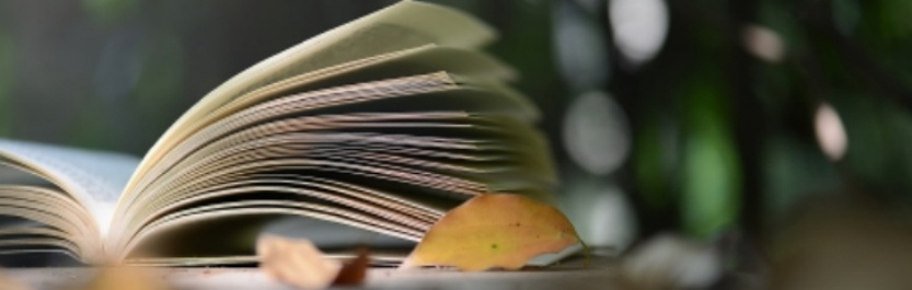 国内正规的博士申请机构前十大榜单一览