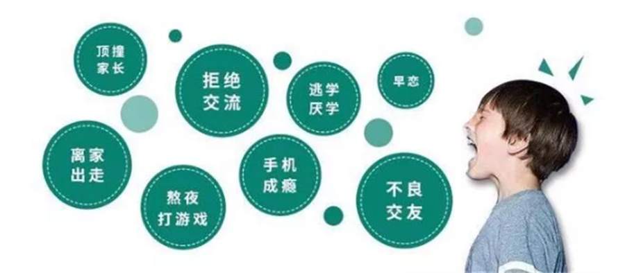 叛逆少年戒网瘾