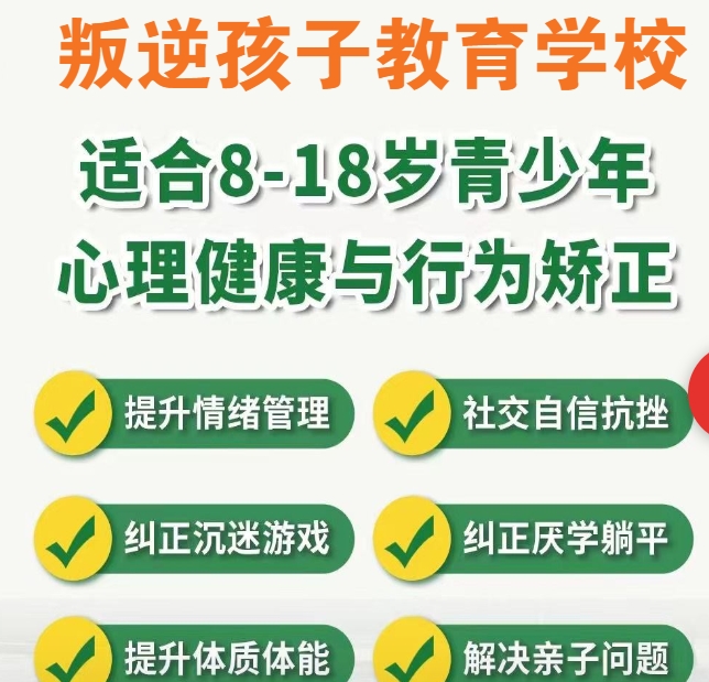 叛逆网瘾戒除