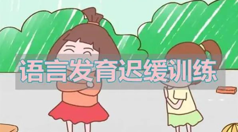 上海儿童语言障碍康复训练