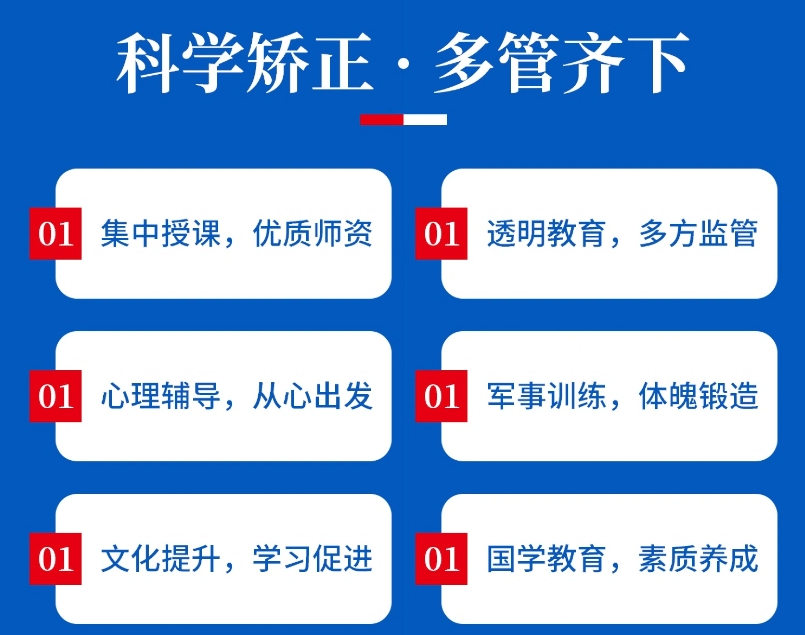 叛逆素质特训学校